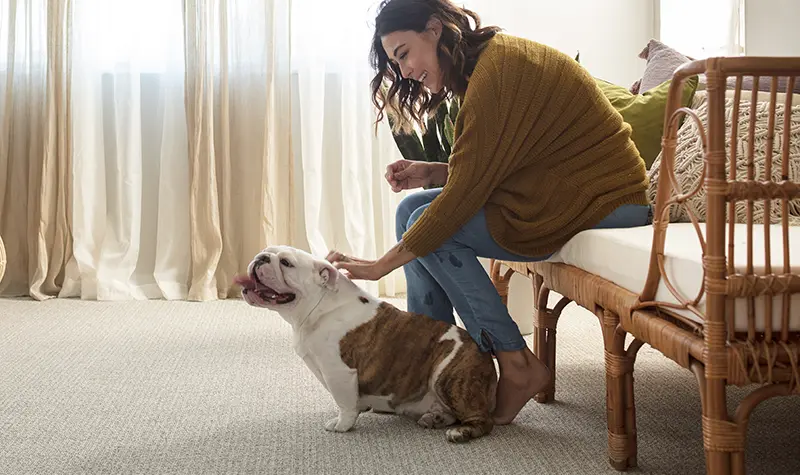 Lady playing with dog
