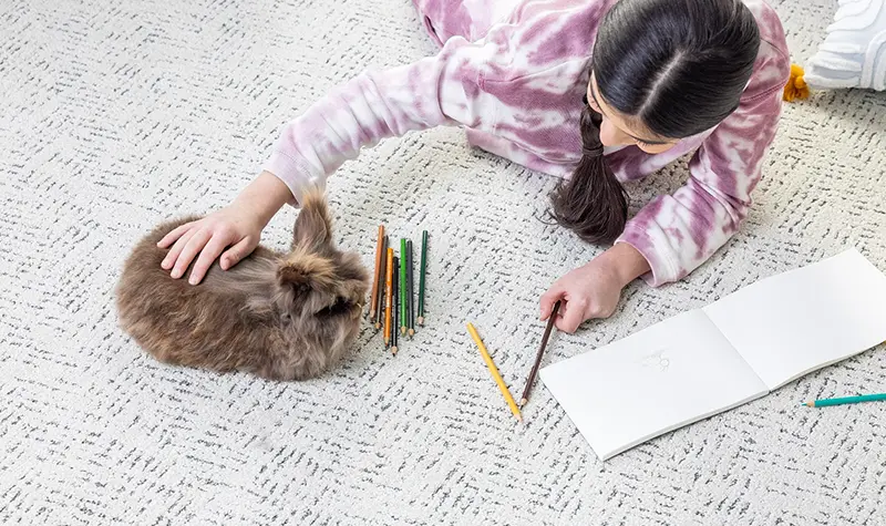 Lady playing with pet
